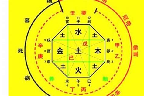 喜神忌神查询|生辰八字算命、五行喜用神查询（免费测算）